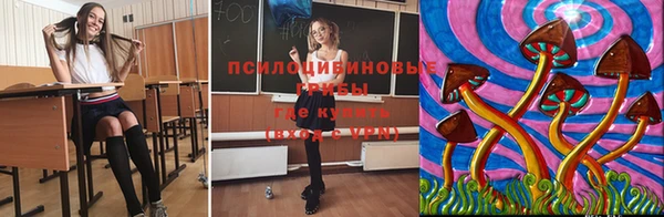 PSILOCYBIN Семёнов