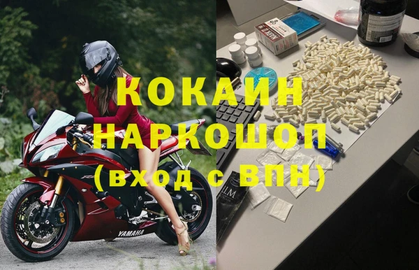 PSILOCYBIN Семёнов