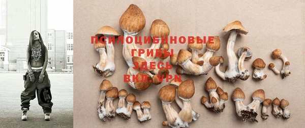 скорость Семилуки