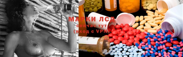 PSILOCYBIN Семёнов