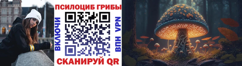 Псилоцибиновые грибы Psilocybine cubensis Скопин