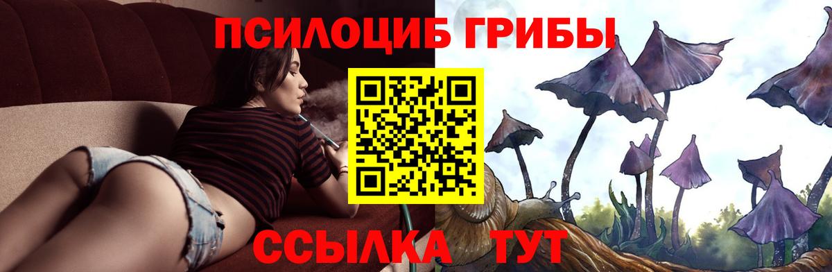 Псилоцибиновые грибы Psilocybe  где купить наркотик  Скопин  Вход с VPN 